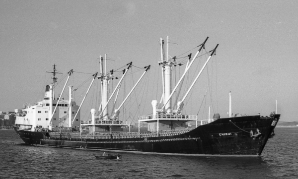 Chiqui by T. Diedrich Chiqui by T. Diedrich